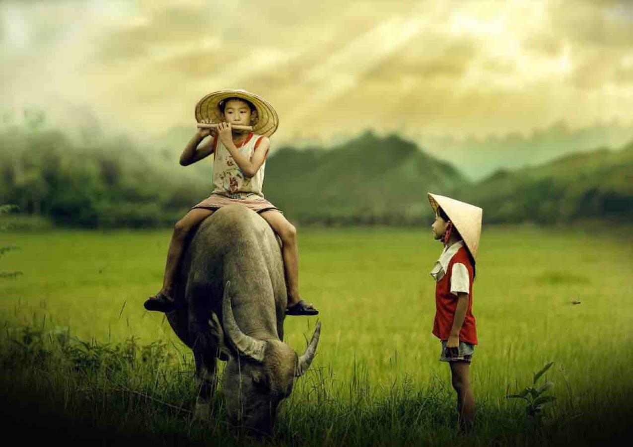 Hang Mua Happiness Homestay Ninh Bình Extérieur photo