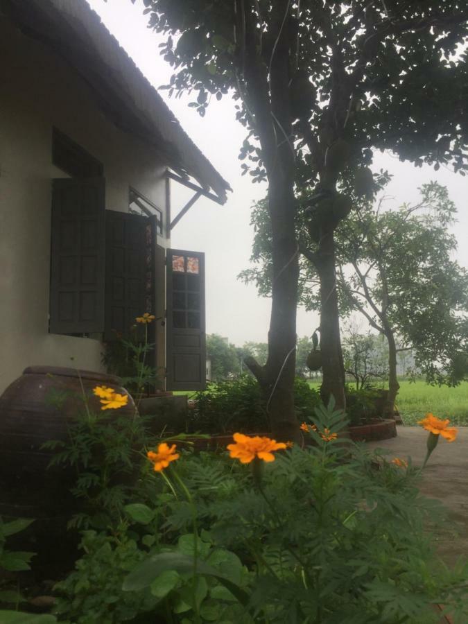 Hang Mua Happiness Homestay Ninh Bình Extérieur photo